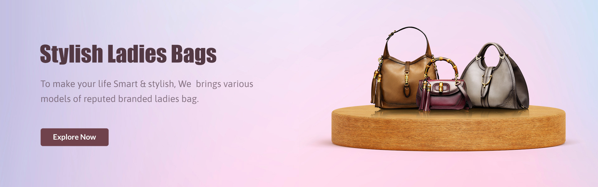 Stylish Ladies Bags